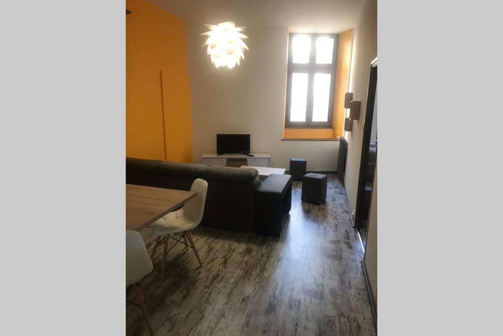 Le Bouvier Vesulien Appartement Vesoul Buitenkant foto
