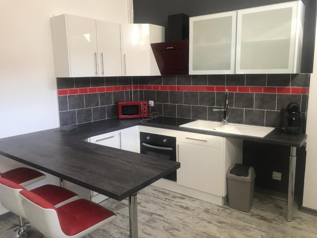 Le Bouvier Vesulien Appartement Vesoul Buitenkant foto